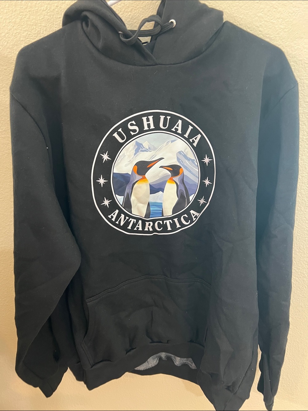 Patagonia Black Crewneck Hoodie with Penguin Graphic